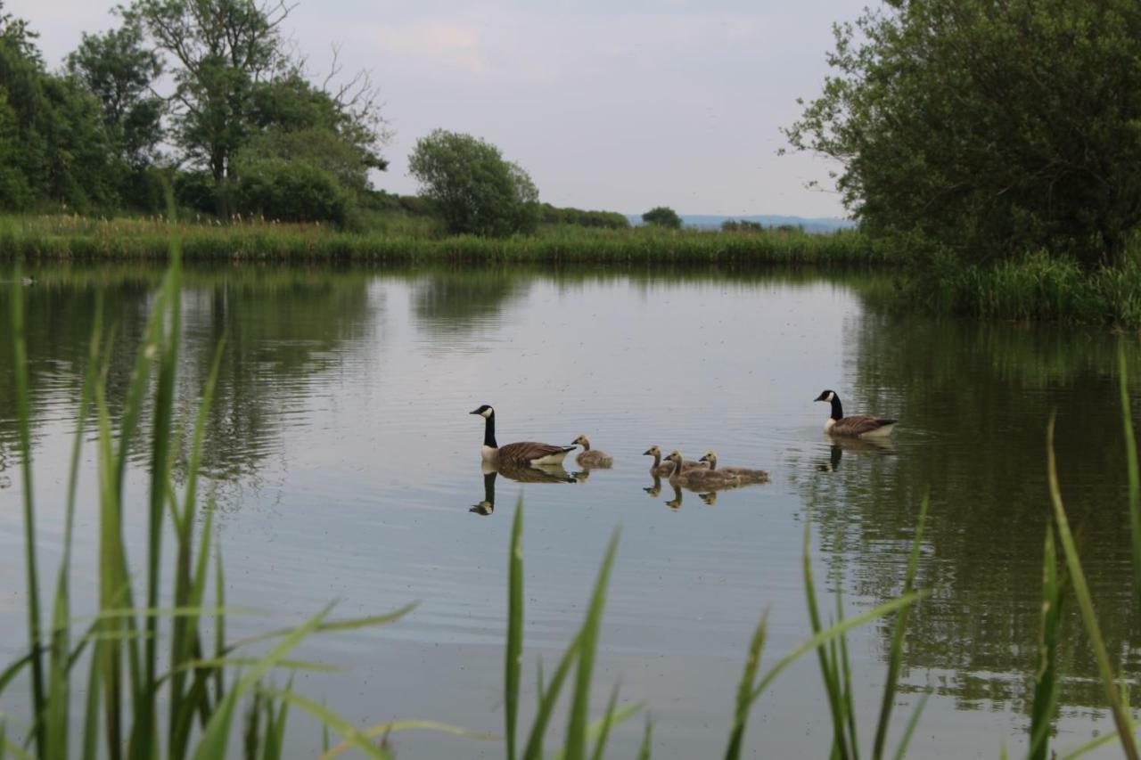 Waltham on the Wolds Fair Farm Hideaway 빌라 외부 사진